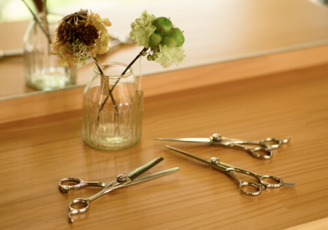 鏡の前に植物とはさみのイメージ写真